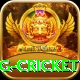 1st inning betting cricket Elite v1.4.3