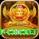 2022 world cup cricket Apps (Tools & Injectors) VIP v2.4.4
