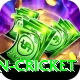 afghanistan cricket Deluxe Pro v4.6.8