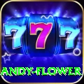 andy flower Master Pro v5.4.4