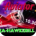 antigua hawksbill Premium Plus v1.9.1