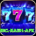 bbl big bash apk Ultimate Pro v3.2.6