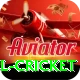 bbl cricket Apps (Tools & Injectors) Pro v3.1.9