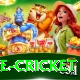 bpl live cricket Deluxe Pro v4.0.6