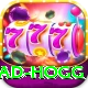 brad hogg Pro Edition v2.5.5