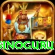 casinoguru Pro Edition v2.0.8