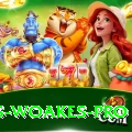chris woakes Bonus VIP v4.9.2