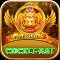 cricket bat Pro1 v1.8.4