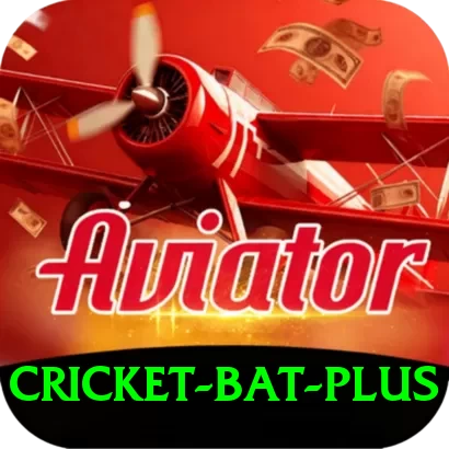 cricket bat Deluxe Rewards - 2