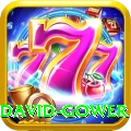 david gower Pro Edition v3.5.9