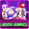 dawki living root bridge Pro v3.5.4