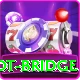 dawki living root bridge Pro v3.5.4