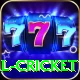 defending total cricket VIP Pro v1.9.9