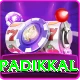devdutt padikkal Master v1.5.2