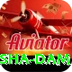 diamer bhasha dam Turbo Pro v3.9.9