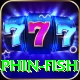 dolphin fish Plus