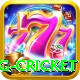 eng cricket Max v2.1.0