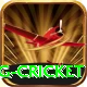 expected goals x g cricket Elite Pro v2.8.7