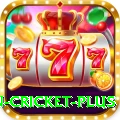 fastest ball in cricket - Real Money VIP