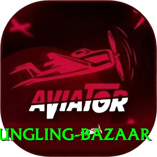 fungling bazaar Pro Edition v1.8.2 - 2