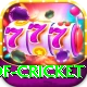 god of cricket VIP Pro v5.5.3