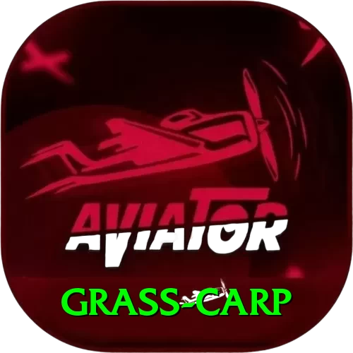 grass carp Premium Edition v3.6.3 - 2