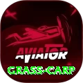 grass carp Premium Edition v3.6.3