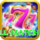 ind all match Pro Edition v2.4.3