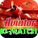 india new zealand match Gold Edition v1.1.1