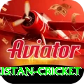 india pakistan cricket Gold Edition v5.2.5