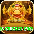 india pakistan cricket Bonus Max v3.1.5