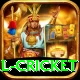 international cricket VIP Edition v1.8.8