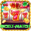 international cricket match Turbo Pro v5.3.9