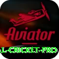 international cricket - King Edition v2.2.6