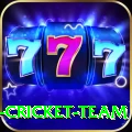 ireland cricket team Pro1 v4.6.9