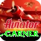 joel garner VIP v3.8.7