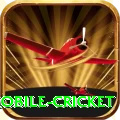 mobile cricket Games (Casino & Earning) VIP v4.5.6