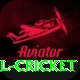 most runs in international cricket Apps (Tools & Injectors) VIP v3.7.8