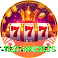 most test wickets Pro Edition v1.9.8