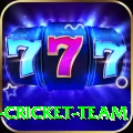 mumbai cricket team Premium Edition v3.2.7