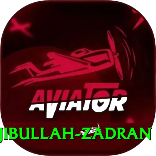 najibullah zadran Turbo v2.0.1 - 2