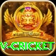 ndtv cricket Gold Pro v1.8.4