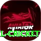 nepal cricket Deluxe v4.0.0