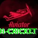 odi cricket Gold v2.3.2