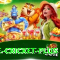 one cricket Casino Deluxe v2.1.3