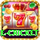 online cricket Gold Edition v3.2.6