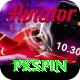 pkspin Pro Edition v2.0.9