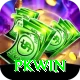 PKWin Elite Pro vv4.4.4