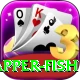 red snapper fish Premium Edition v5.3.0