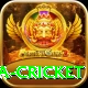 sa cricket Turbo v3.4.3